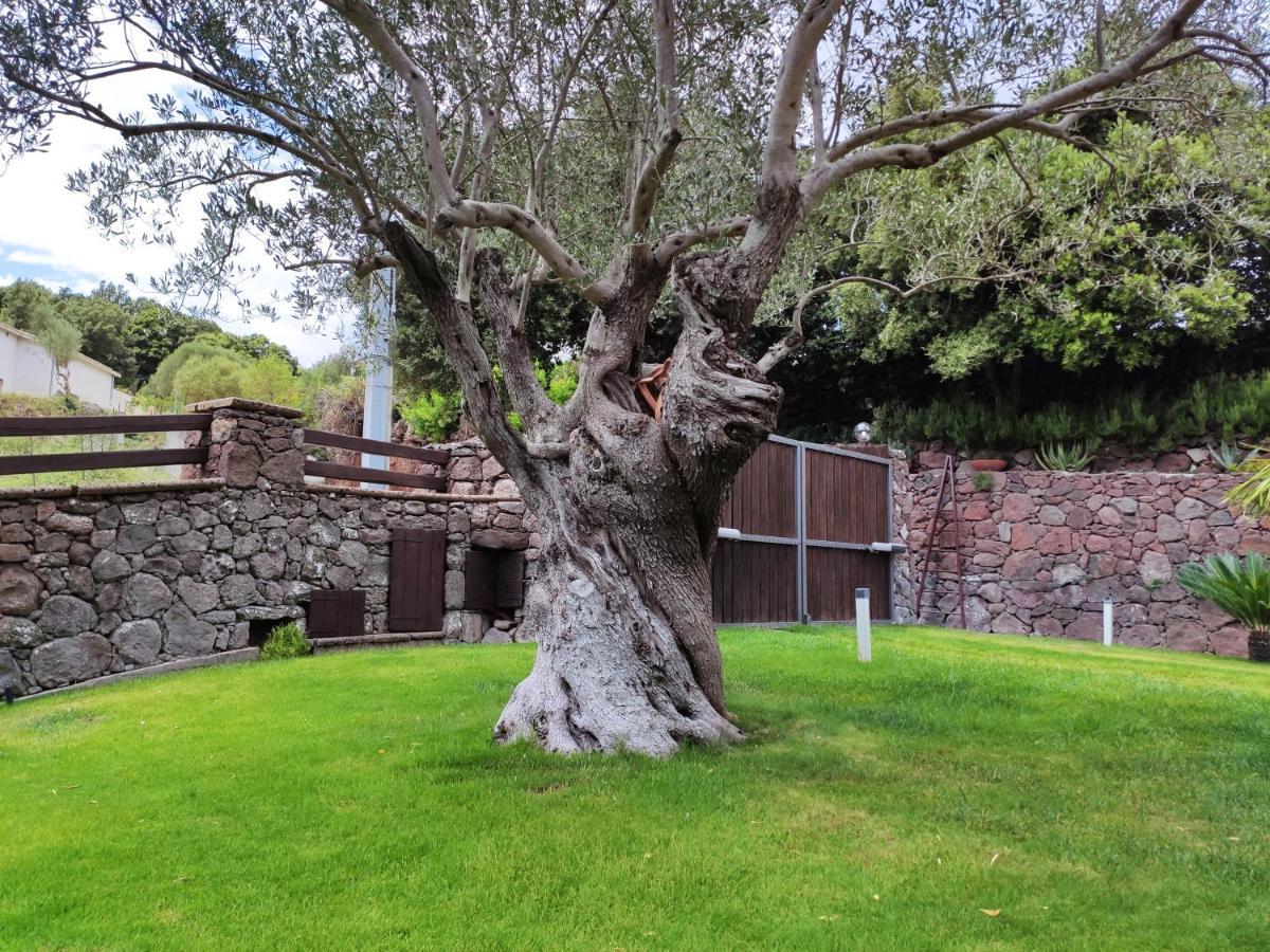Casa Bados Villa Dorgali Kültér fotó