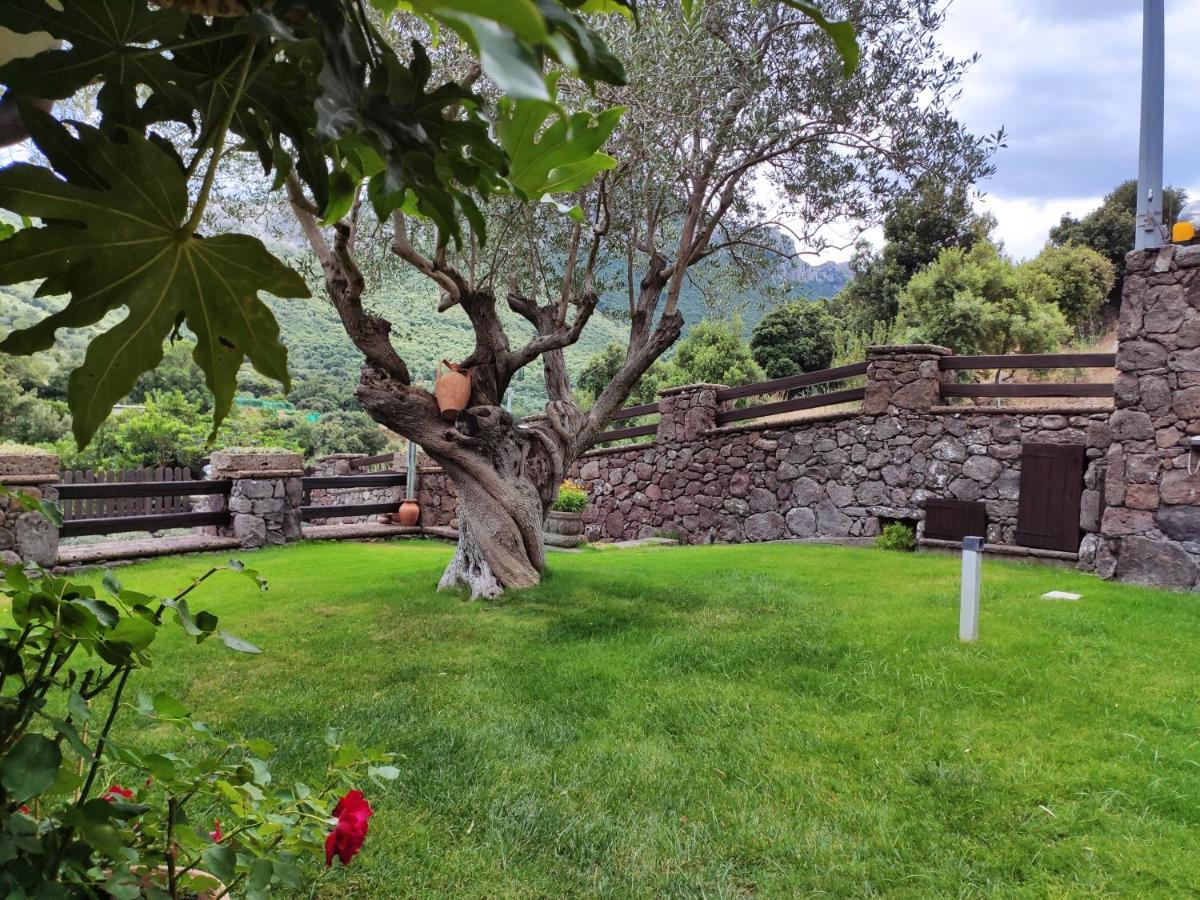 Casa Bados Villa Dorgali Kültér fotó
